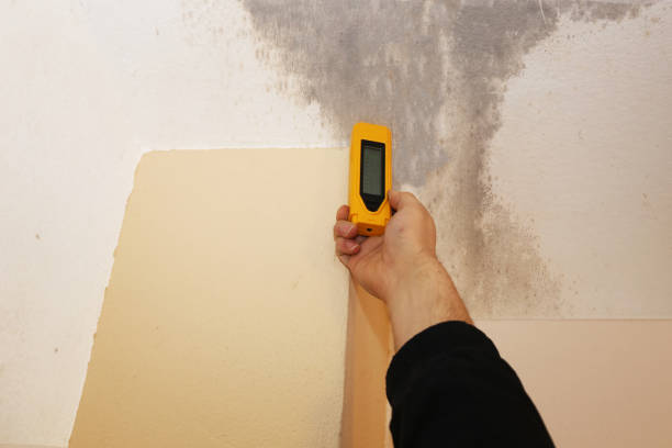 Mold Remediation for Rental Properties in Wye, MT