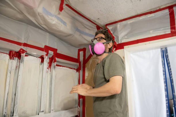 Best Comprehensive Air Testing for Mold Contaminants  in Wye, MT