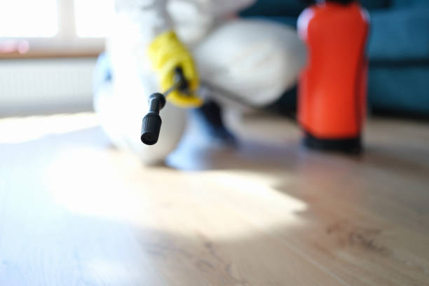 Best Dehumidification Services  in Wye, MT