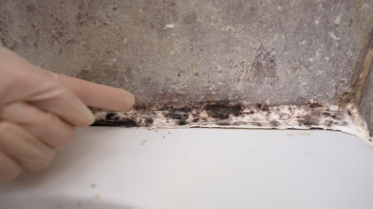 Best Post-Remediation Verification Testing  in Wye, MT