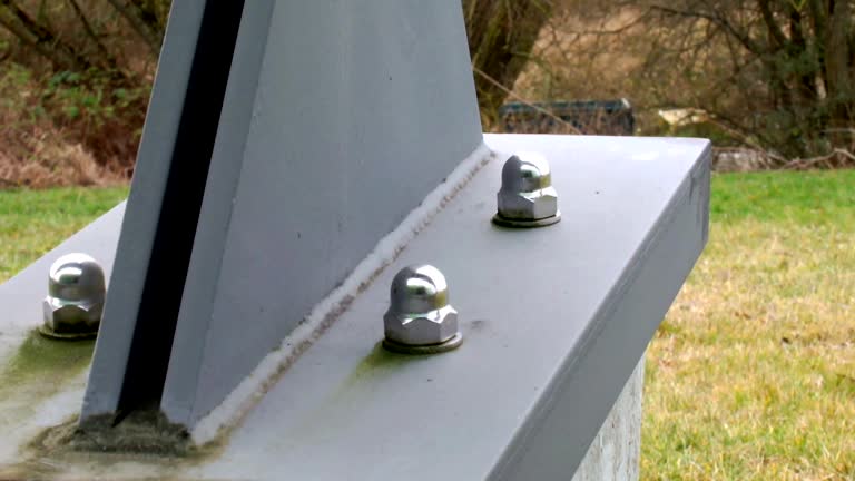 Professional Mold Removal in Wye, MT