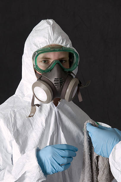 Best Emergency Mold Remediation  in Wye, MT